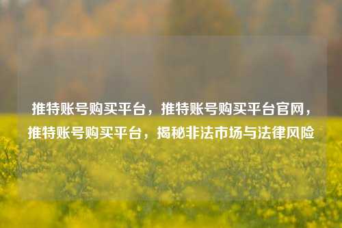 推特账号购买平台，推特账号购买平台官网，推特账号购买平台，揭秘非法市场与法律风险