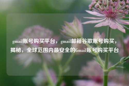gmail账号购买平台，gmail邮箱谷歌账号购买，揭秘，全球范围内最安全的Gmail账号购买平台