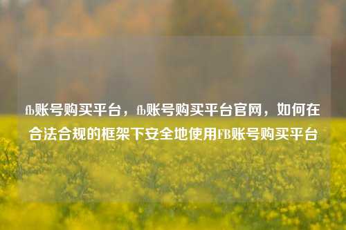 fb账号购买平台，fb账号购买平台官网，如何在合法合规的框架下安全地使用FB账号购买平台