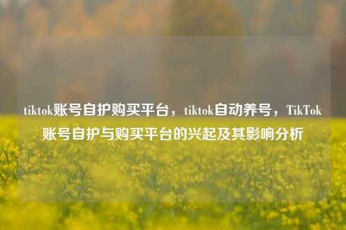 tiktok账号自护购买平台，tiktok自动养号，TikTok账号自护与购买平台的兴起及其影响分析