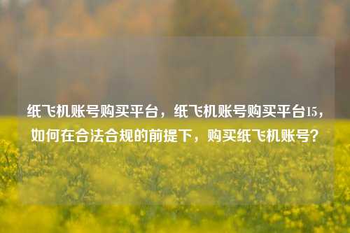 纸飞机账号购买平台，纸飞机账号购买平台15，如何在合法合规的前提下，购买纸飞机账号？