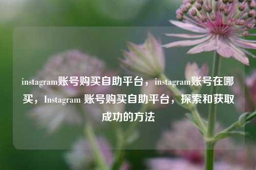 instagram账号购买自助平台，instagram账号在哪买，Instagram 账号购买自助平台，探索和获取成功的方法