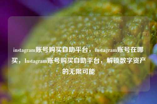 instagram账号购买自助平台，instagram账号在哪买，Instagram账号购买自助平台，解锁数字资产的无限可能