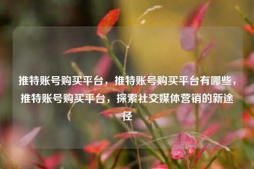 推特账号购买平台，推特账号购买平台有哪些，推特账号购买平台，探索社交媒体营销的新途径