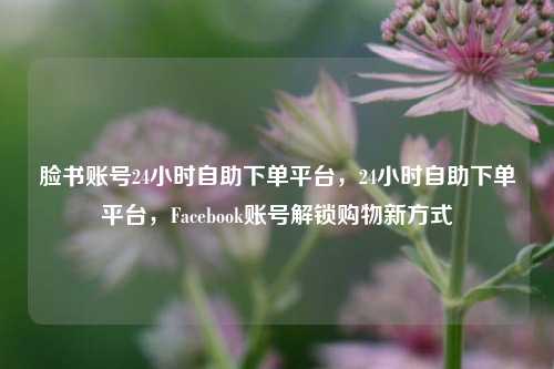 脸书账号24小时自助下单平台，24小时自助下单平台，Facebook账号解锁购物新方式