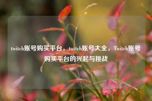 twitch账号购买平台，twitch账号大全，Twitch账号购买平台的兴起与挑战