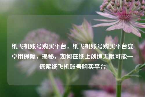 纸飞机账号购买平台，纸飞机账号购买平台安卓用保障，揭秘，如何在纸上创造无限可能—探索纸飞机账号购买平台