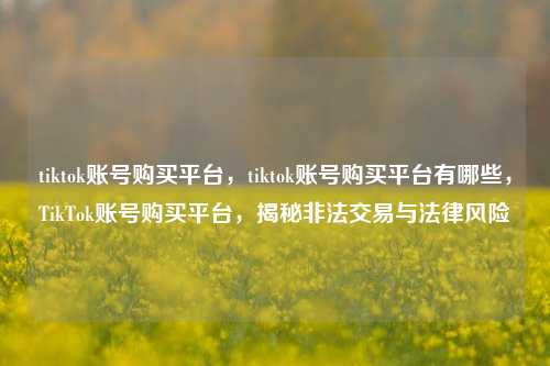 tiktok账号购买平台，tiktok账号购买平台有哪些，TikTok账号购买平台，揭秘非法交易与法律风险