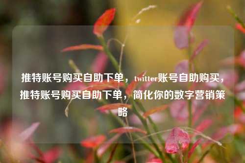 推特账号购买自助下单，twitter账号自助购买，推特账号购买自助下单，简化你的数字营销策略
