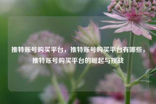 推特账号购买平台，推特账号购买平台有哪些，推特账号购买平台的崛起与挑战
