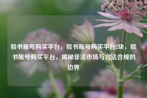 脸书账号购买平台，脸书账号购买平台2块，脸书账号购买平台，揭秘非法市场与合法合规的边界