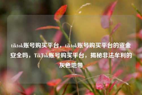 tiktok账号购买平台，tiktok账号购买平台的资金安全吗，TikTok账号购买平台，揭秘非法牟利的灰色地带