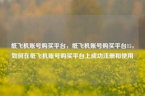 纸飞机账号购买平台，纸飞机账号购买平台15，如何在纸飞机账号购买平台上成功注册和使用