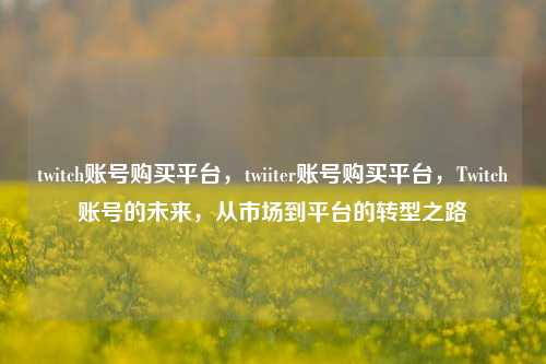 twitch账号购买平台，twiiter账号购买平台，Twitch账号的未来，从市场到平台的转型之路