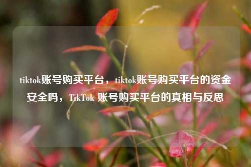 tiktok账号购买平台，tiktok账号购买平台的资金安全吗，TikTok 账号购买平台的真相与反思