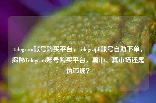 telegram账号购买平台，telegraph账号自助下单，揭秘Telegram账号购买平台，黑市、真市场还是伪市场？