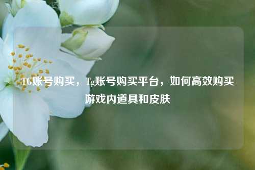 TG账号购买，Tg账号购买平台，如何高效购买游戏内道具和皮肤