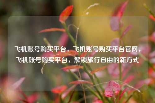 飞机账号购买平台，飞机账号购买平台官网，飞机账号购买平台，解锁旅行自由的新方式