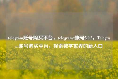 telegram账号购买平台，telegramx账号5.0.2，Telegram账号购买平台，探索数字世界的新入口