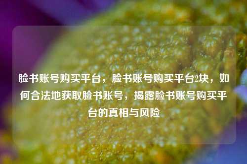 脸书账号购买平台，脸书账号购买平台2块，如何合法地获取脸书账号，揭露脸书账号购买平台的真相与风险