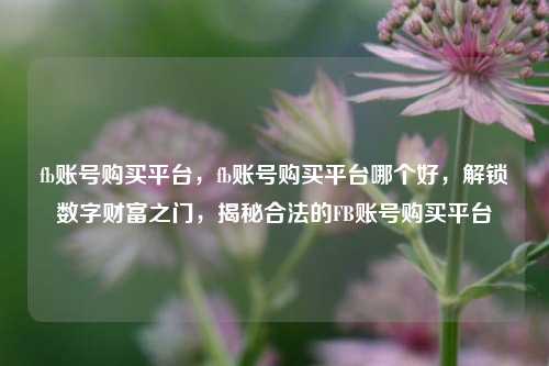 fb账号购买平台，fb账号购买平台哪个好，解锁数字财富之门，揭秘合法的FB账号购买平台
