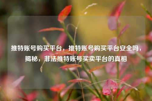 推特账号购买平台，推特账号购买平台安全吗，揭秘，非法推特账号买卖平台的真相