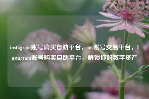 instagram账号购买自助平台，ins账号交易平台，Instagram账号购买自助平台，解锁你的数字资产