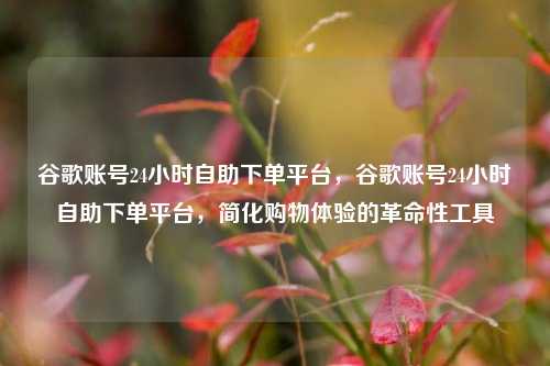 谷歌账号24小时自助下单平台，谷歌账号24小时自助下单平台，简化购物体验的革命性工具