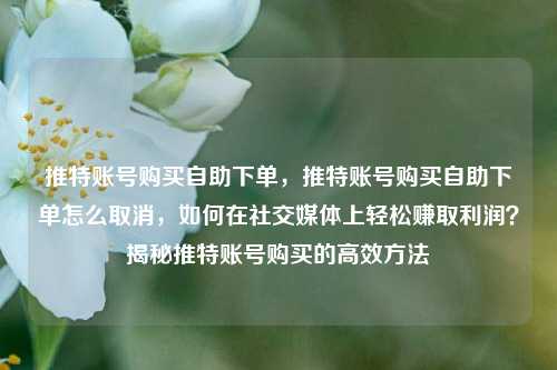 推特账号购买自助下单，推特账号购买自助下单怎么取消，如何在社交媒体上轻松赚取利润？揭秘推特账号购买的高效方法