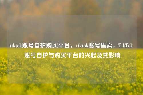 tiktok账号自护购买平台，tiktok账号售卖，TikTok 账号自护与购买平台的兴起及其影响