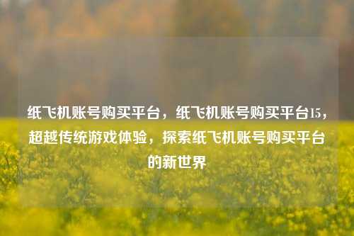 纸飞机账号购买平台，纸飞机账号购买平台15，超越传统游戏体验，探索纸飞机账号购买平台的新世界