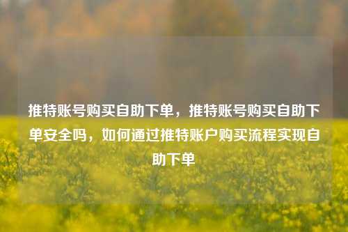 推特账号购买自助下单，推特账号购买自助下单安全吗，如何通过推特账户购买流程实现自助下单