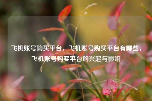 飞机账号购买平台，飞机账号购买平台有哪些，飞机账号购买平台的兴起与影响