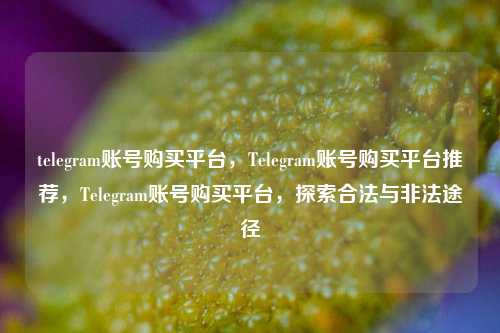 telegram账号购买平台，Telegram账号购买平台推荐，Telegram账号购买平台，探索合法与非法途径