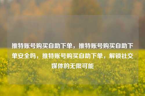 推特账号购买自助下单，推特账号购买自助下单安全吗，推特账号购买自助下单，解锁社交媒体的无限可能