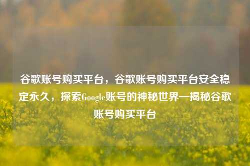 谷歌账号购买平台，谷歌账号购买平台安全稳定永久，探索Google账号的神秘世界—揭秘谷歌账号购买平台