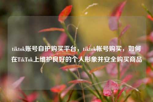 tiktok账号自护购买平台，tiktok帐号购买，如何在TikTok上维护良好的个人形象并安全购买商品