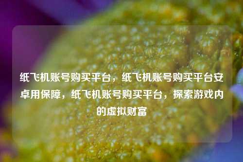纸飞机账号购买平台，纸飞机账号购买平台安卓用保障，纸飞机账号购买平台，探索游戏内的虚拟财富