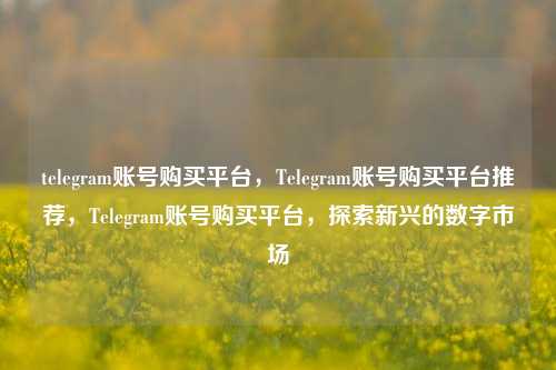 telegram账号购买平台，Telegram账号购买平台推荐，Telegram账号购买平台	，探索新兴的数字市场  第1张