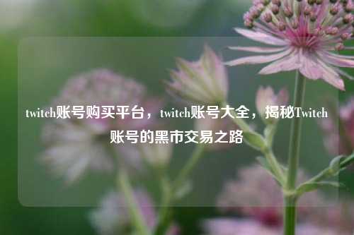twitch账号购买平台，twitch账号大全，揭秘Twitch账号的黑市交易之路