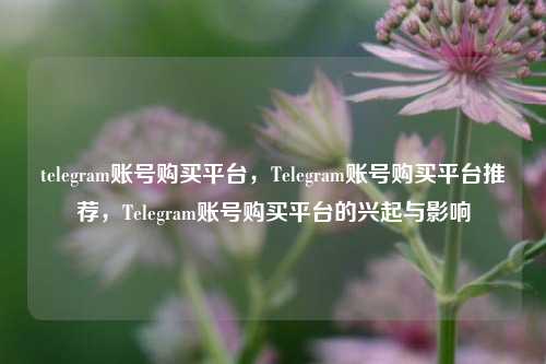telegram账号购买平台，Telegram账号购买平台推荐，Telegram账号购买平台的兴起与影响