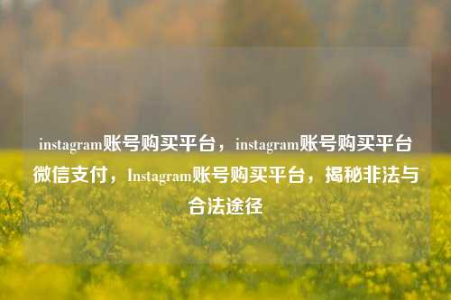 instagram账号购买平台	，instagram账号购买平台微信支付，Instagram账号购买平台，揭秘非法与合法途径  第1张