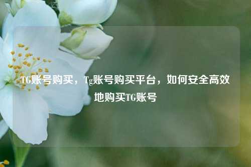 TG账号购买，Tg账号购买平台，如何安全高效地购买TG账号