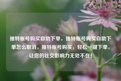推特账号购买自助下单，推特账号购买自助下单怎么取消，推特账号购买，轻松一键下单，让您的社交影响力无处不在！