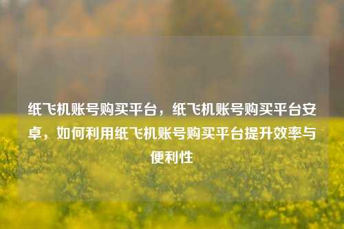 纸飞机账号购买平台，纸飞机账号购买平台安卓，如何利用纸飞机账号购买平台提升效率与便利性