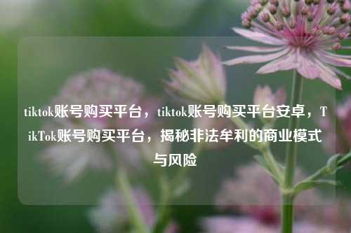 tiktok账号购买平台，tiktok账号购买平台安卓，TikTok账号购买平台，揭秘非法牟利的商业模式与风险