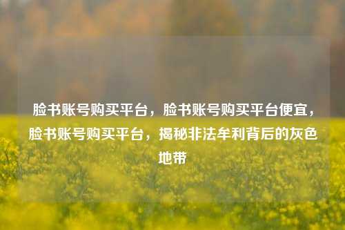 脸书账号购买平台，脸书账号购买平台便宜，脸书账号购买平台，揭秘非法牟利背后的灰色地带