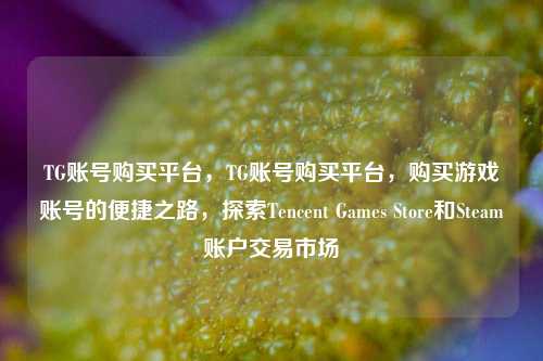 TG账号购买平台，TG账号购买平台，购买游戏账号的便捷之路，探索Tencent Games Store和Steam账户交易市场