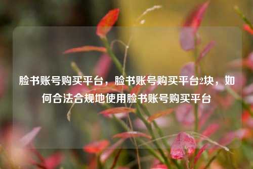 脸书账号购买平台，脸书账号购买平台2块，如何合法合规地使用脸书账号购买平台