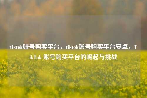tiktok账号购买平台，tiktok账号购买平台安卓，TikTok 账号购买平台的崛起与挑战